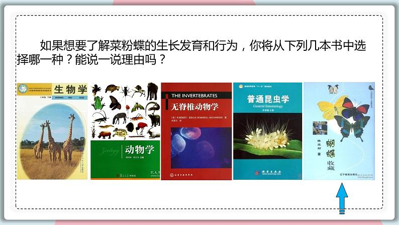 6.1.1 尝试对生物进行分类 课件 初中生物人教版八年级上册05