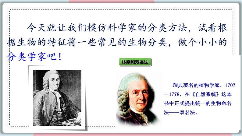 6.1.1 尝试对生物进行分类 课件 初中生物人教版八年级上册07
