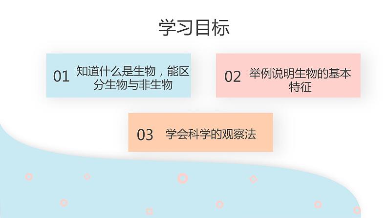 1.1.1 生物的特征  课件 初中生物人教版七年级上册02