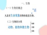 1.1.1 生物的特征  課件 初中生物人教版七年級上冊