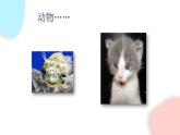 1.1.1 生物的特征  課件 初中生物人教版七年級上冊