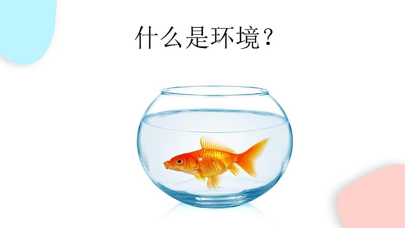 1.2.1 生物与环境的关系  课件 初中生物人教版七年级上册03