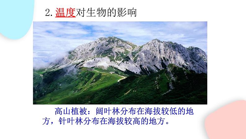 1.2.1 生物与环境的关系  课件 初中生物人教版七年级上册07