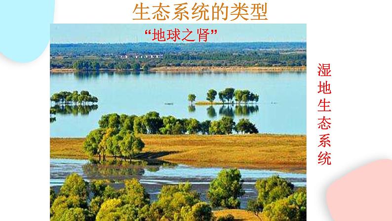 1.2.3 生物圈是最大的生态系统  课件 初中生物人教版七年级上册05