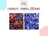 2.1.1 练习使用显微镜  课件 初中生物人教版七年级上册