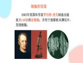 2.1.1 练习使用显微镜  课件 初中生物人教版七年级上册