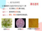 2.1.2 植物細(xì)胞  課件 初中生物人教版七年級上冊