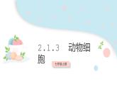 2.1.3 動物細(xì)胞  課件 初中生物人教版七年級上冊