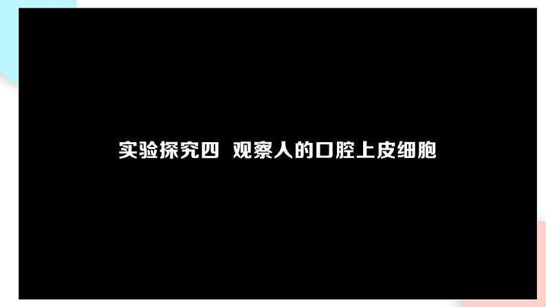 2.1.3 动物细胞  课件 初中生物人教版七年级上册06