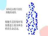 2.1.4 細(xì)胞的生活  課件 初中生物人教版七年級上冊