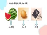 2.1.4 細(xì)胞的生活  課件 初中生物人教版七年級上冊