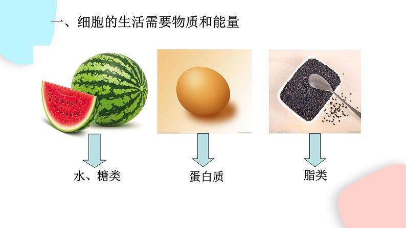 2.1.4 细胞的生活  课件 初中生物人教版七年级上册04