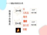 2.1.4 細(xì)胞的生活  課件 初中生物人教版七年級上冊