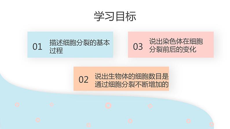 2.2.1 细胞通过分裂产生新细胞  课件 初中生物人教版七年级上册02