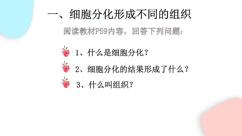 2.2.2 动物体的结构层次  课件 初中生物人教版七年级上册05