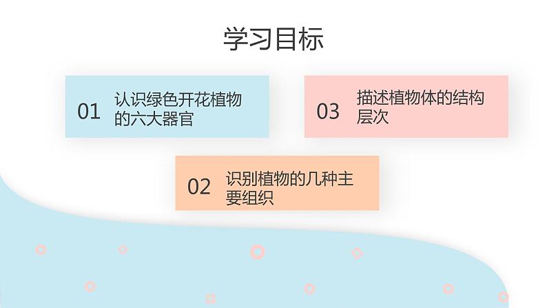 2.2.3 植物体的结构层次  课件 初中生物人教版七年级上册02