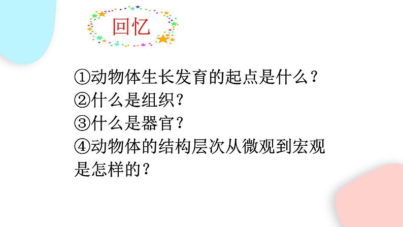 2.2.3 植物体的结构层次  课件 初中生物人教版七年级上册03