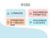 2.2.4 单细胞生物  课件 初中生物人教版七年级上册