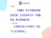 2.2.4 單細(xì)胞生物  課件 初中生物人教版七年級上冊