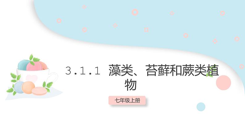 3.1.1 藻类、苔藓和蕨类植物  课件 初中生物人教版七年级上册01