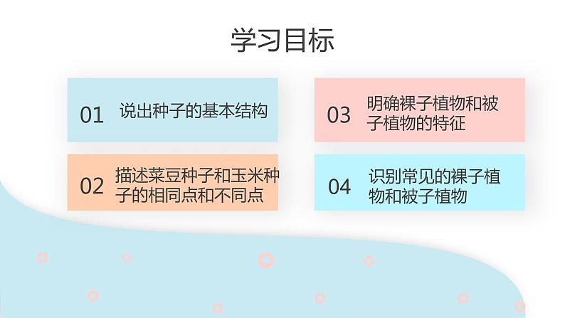 3.1.2 种子植物  课件 初中生物人教版七年级上册02