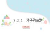 3.2.1 種子的萌發(fā)  課件 初中生物人教版七年級上冊