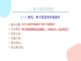 3.2.1 種子的萌發(fā)  課件 初中生物人教版七年級上冊