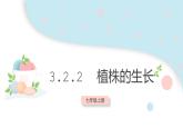 3.2.2 植株的生長  課件 初中生物人教版七年級上冊