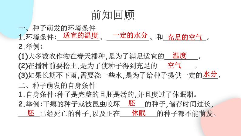 3.2.2 植株的生长  课件 初中生物人教版七年级上册03