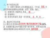 3.2.2 植株的生長  課件 初中生物人教版七年級上冊