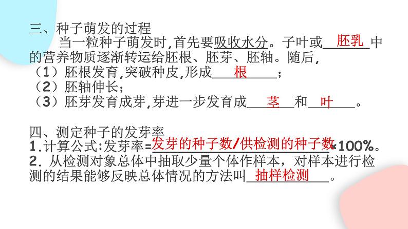 3.2.2 植株的生长  课件 初中生物人教版七年级上册04