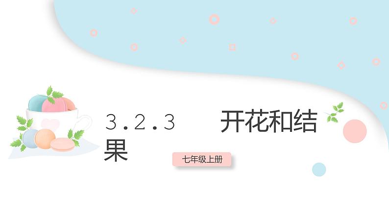 3.2.3 开花和结果  课件 初中生物人教版七年级上册01