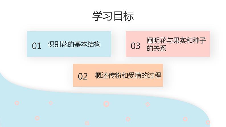 3.2.3 开花和结果  课件 初中生物人教版七年级上册02