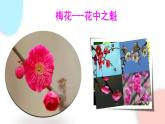 3.2.3 開花和結(jié)果  課件 初中生物人教版七年級上冊