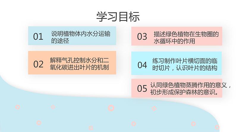 3.3 绿色植物与生物圈的水循环  课件 初中生物人教版七年级上册02