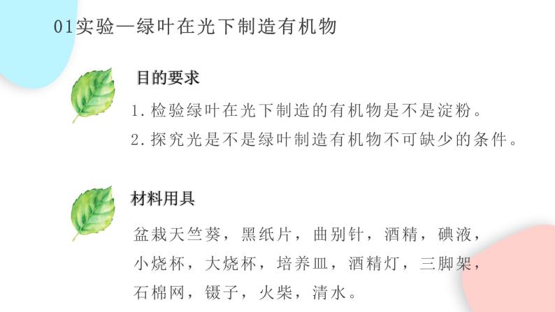 2020-2021学年第四章 绿色植物是生物圈中有机物的制造者课文内容课件ppt-教习网|课件下载