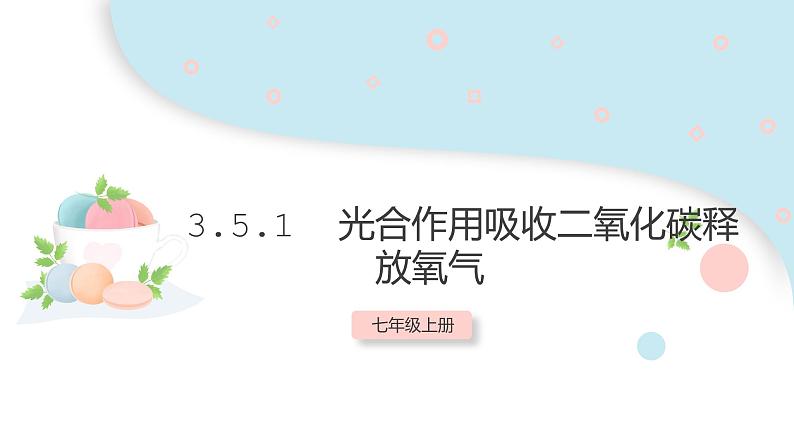 3.5.1 光合作用吸收二氧化碳释放氧气  课件 初中生物人教版七年级上册01