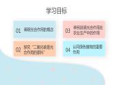 3.5.1 光合作用吸收二氧化碳释放氧气  课件 初中生物人教版七年级上册