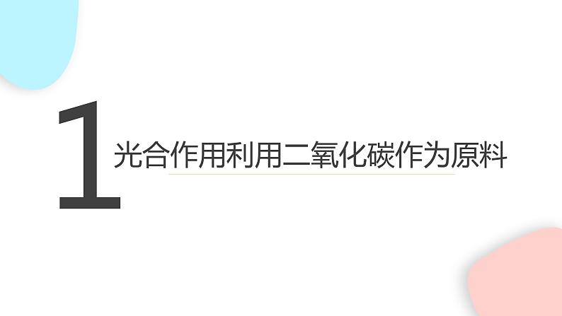 3.5.1 光合作用吸收二氧化碳释放氧气  课件 初中生物人教版七年级上册03