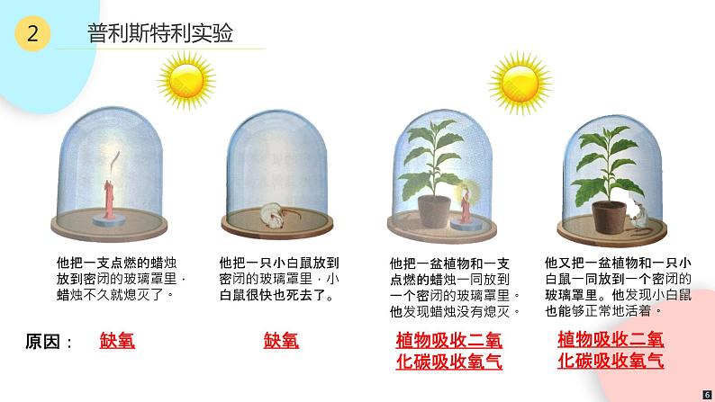 3.5.1 光合作用吸收二氧化碳释放氧气  课件 初中生物人教版七年级上册06