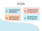 3.5.2 绿色植物的呼吸作用  课件 初中生物人教版七年级上册