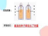 3.5.2 绿色植物的呼吸作用  课件 初中生物人教版七年级上册