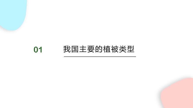 3.6 爱护植被，绿化祖国  课件 初中生物人教版七年级上册04