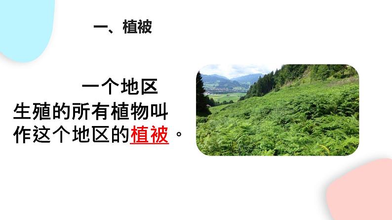 3.6 爱护植被，绿化祖国  课件 初中生物人教版七年级上册05