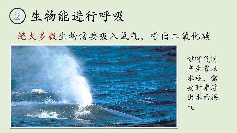 1.1.1.生物的特征课件2022--2023学年人教版生物七年级上册07