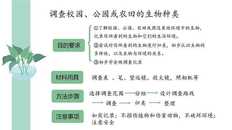 1.1.2 调查周边环境中的生物 课件-2022-2023学年人教版生物七年级上册 (1)05