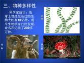 北师大版七年级上册生物  1.1 形形色色的生物 课件