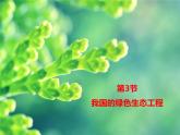 北師大版七年級(jí)上冊(cè)生物  7.3 我國的綠色生態(tài)工程 課件