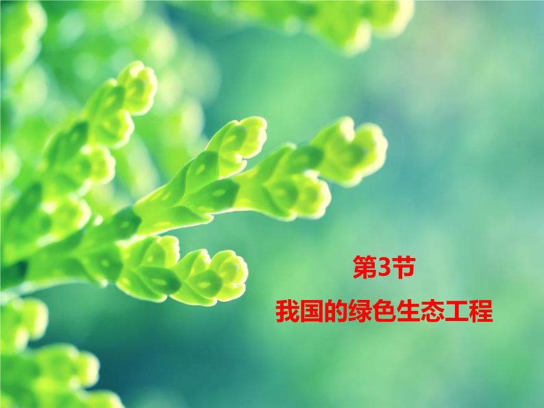 北师大版七年级上册生物  7.3 我国的绿色生态工程 课件01