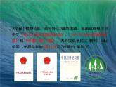 北師大版七年級(jí)上冊(cè)生物  7.3 我國的綠色生態(tài)工程 課件